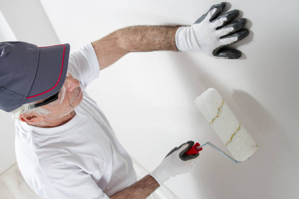  South Ack, NY Mold Removal Pros