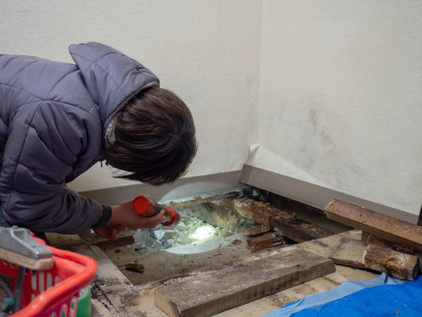 Best Real Estate Mold Inspection  in South Ack, NY