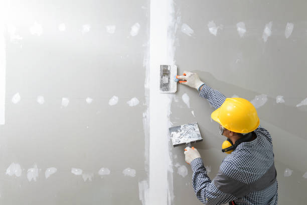 Best Asbestos and Lead Testing During Mold Inspection  in South Ack, NY