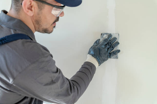 Best Attic Mold Removal  in South Ack, NY