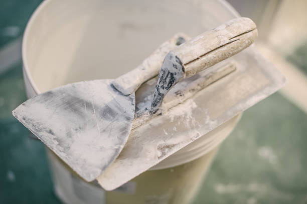 Best Mold Documentation for Insurance Claims  in South Ack, NY